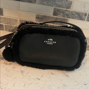 Coach zippered mini purse